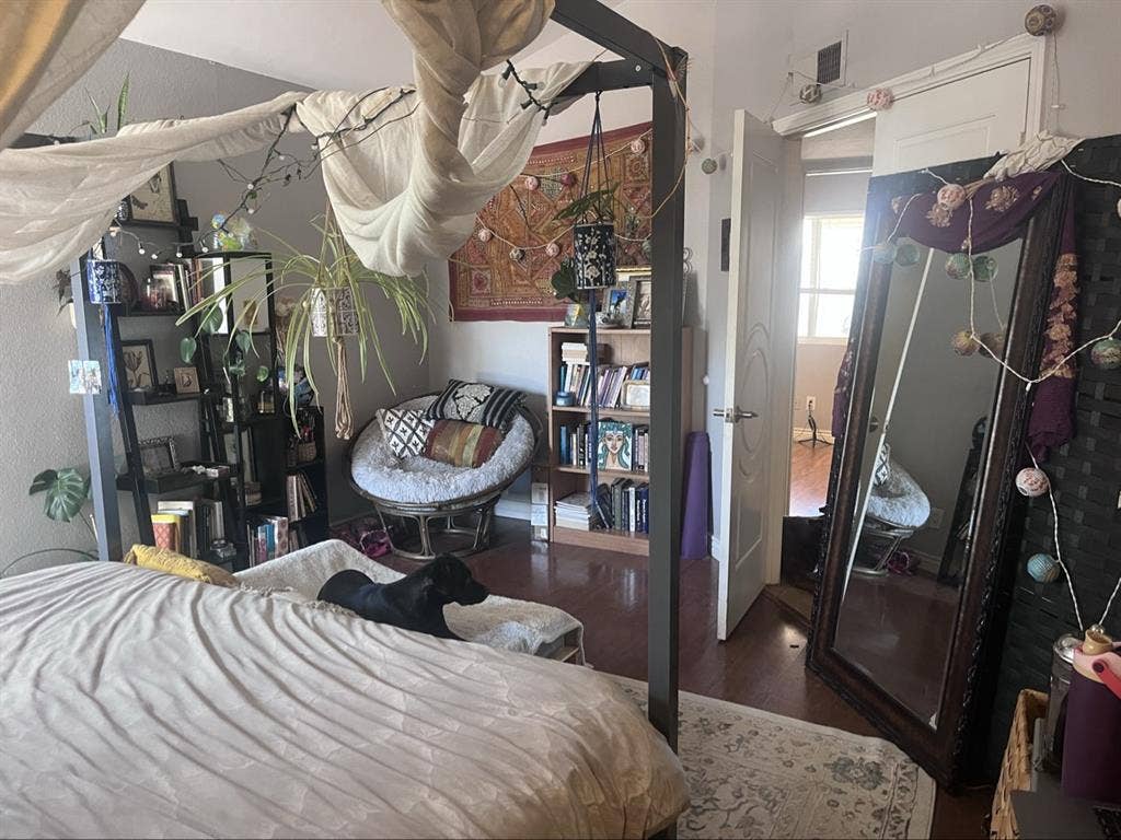 Primary bedroom in gorgeous house!