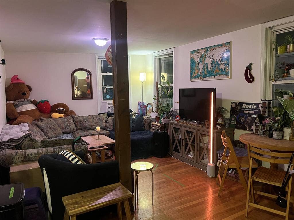 Davis Square apt available 9/1