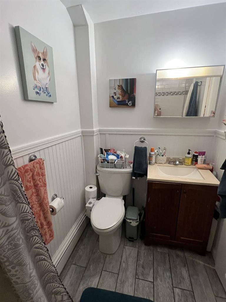Davis Square apt available 9/1