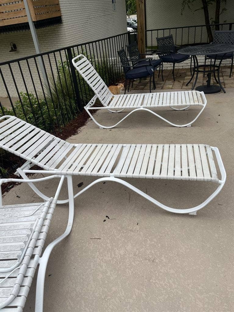 Two-bedroom apartment in Auburn, AL