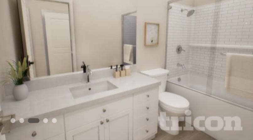 Looking for reliable clean roommate