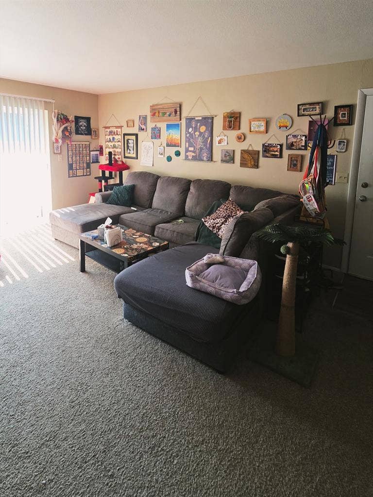 Room for rent in 2 bed 1 bath apt