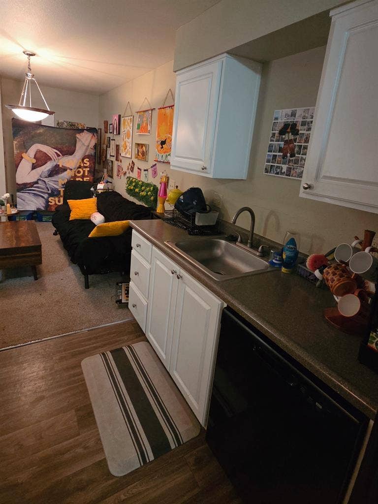 Room for rent in 2 bed 1 bath apt