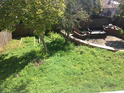 Share my beautiful home