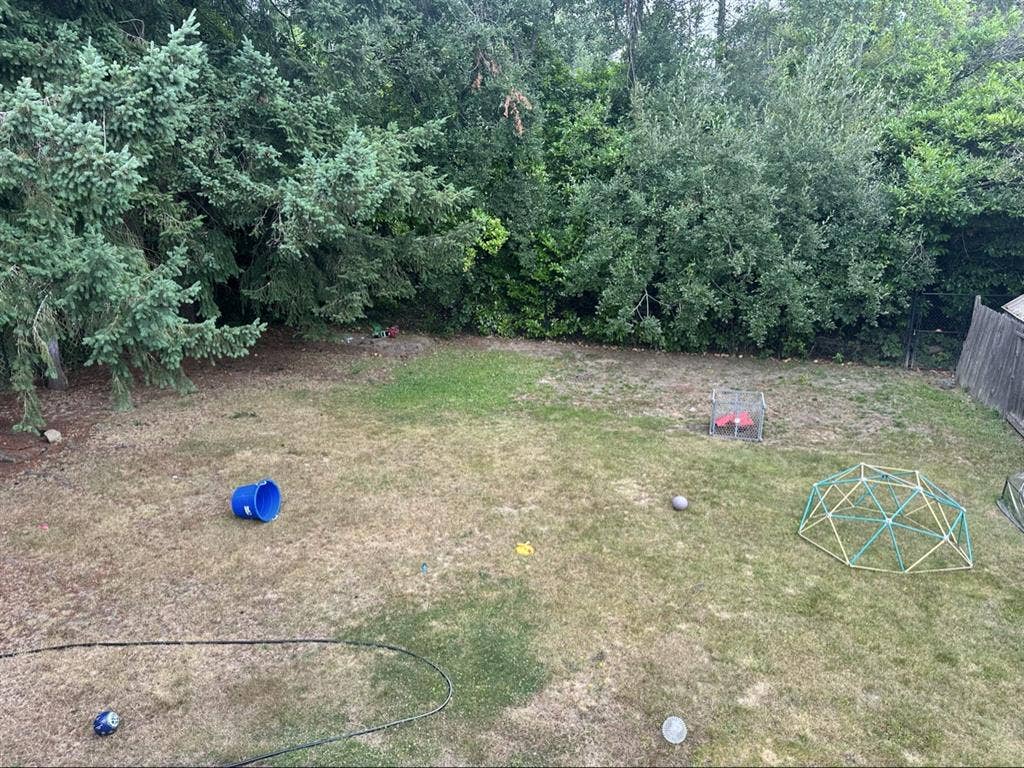1BD 1BA LOWER APARTMENT