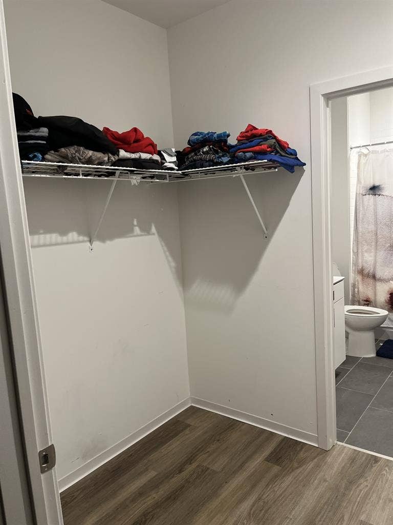 Looking for a roommate