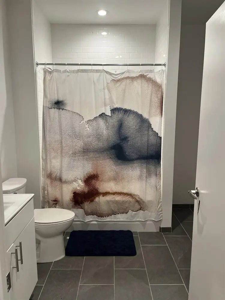 Looking for a roommate