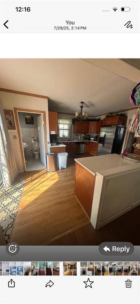 Beautiful houseshare foresthills nj