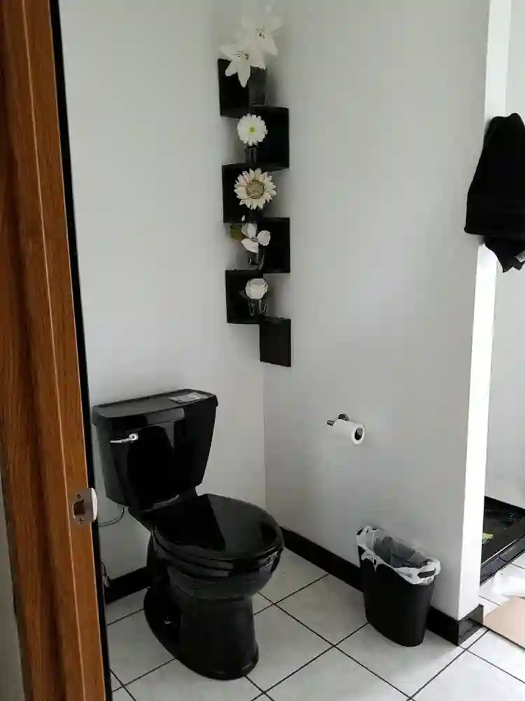 Room with built-in shelves
