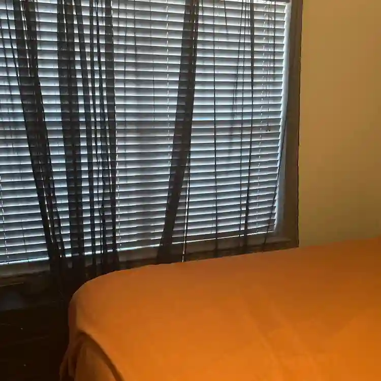 Clean Furnished Room Available