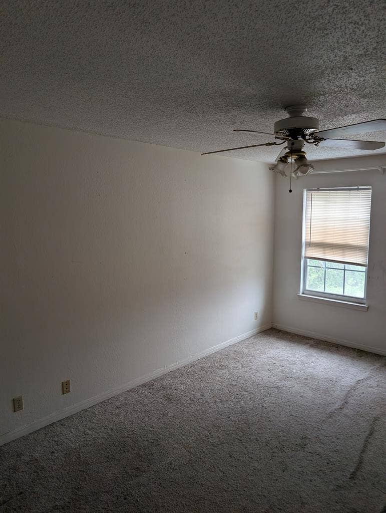 Private room 4 rent 3/2 duplex