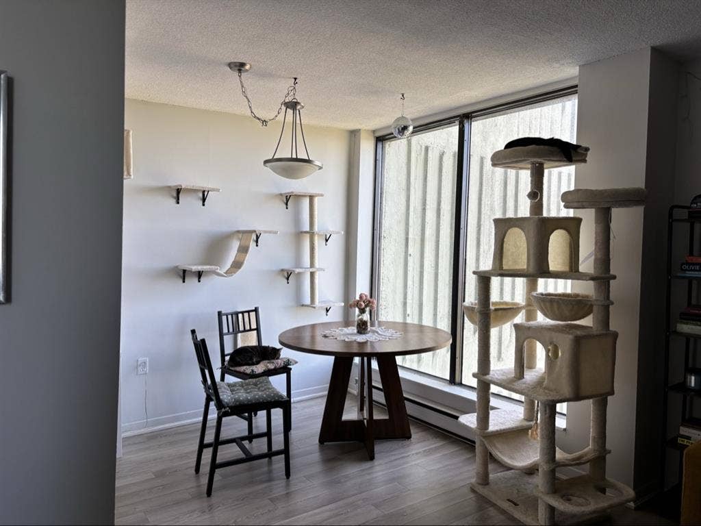 Roommate needed!