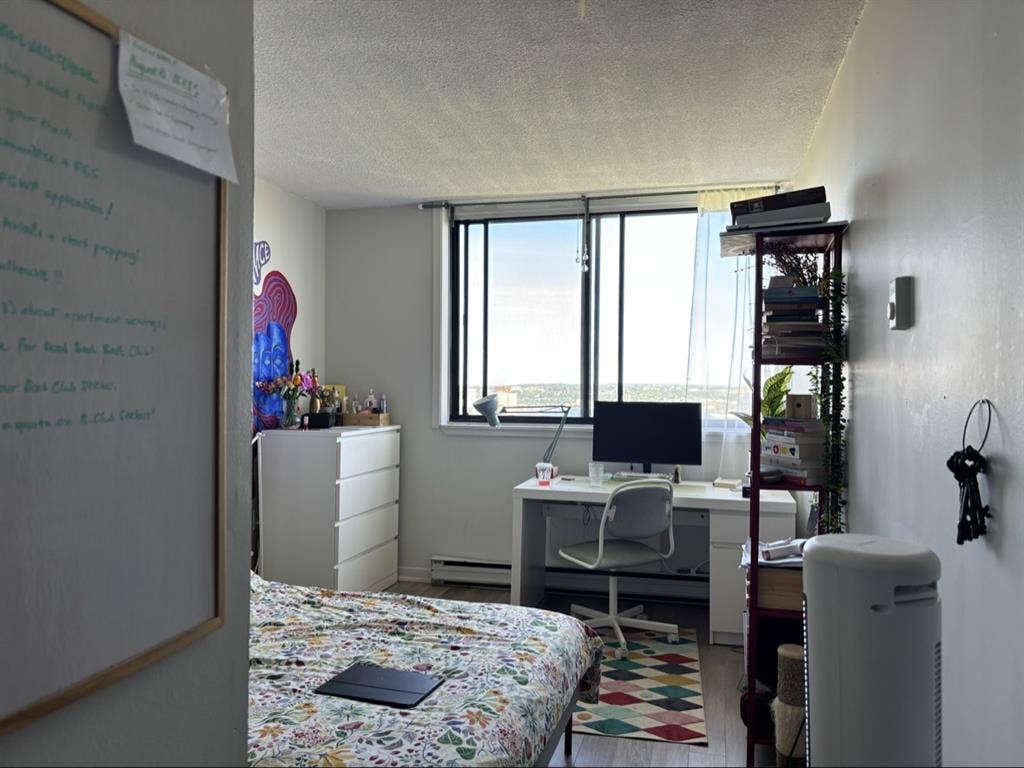 Roommate needed!