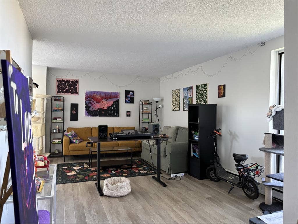 Roommate needed!