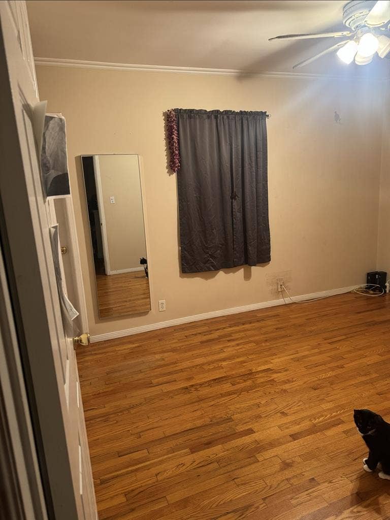 New Listing