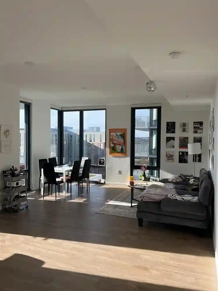 Female Roommate in Rosslyn VA