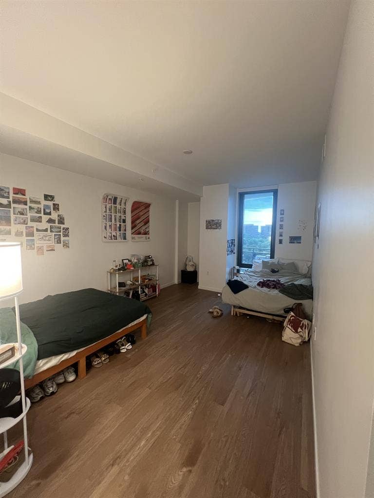 Female Roommate in Rosslyn VA