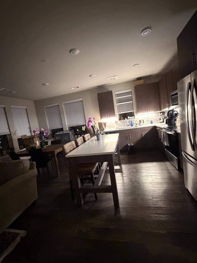 Looking for Fourth Roomate