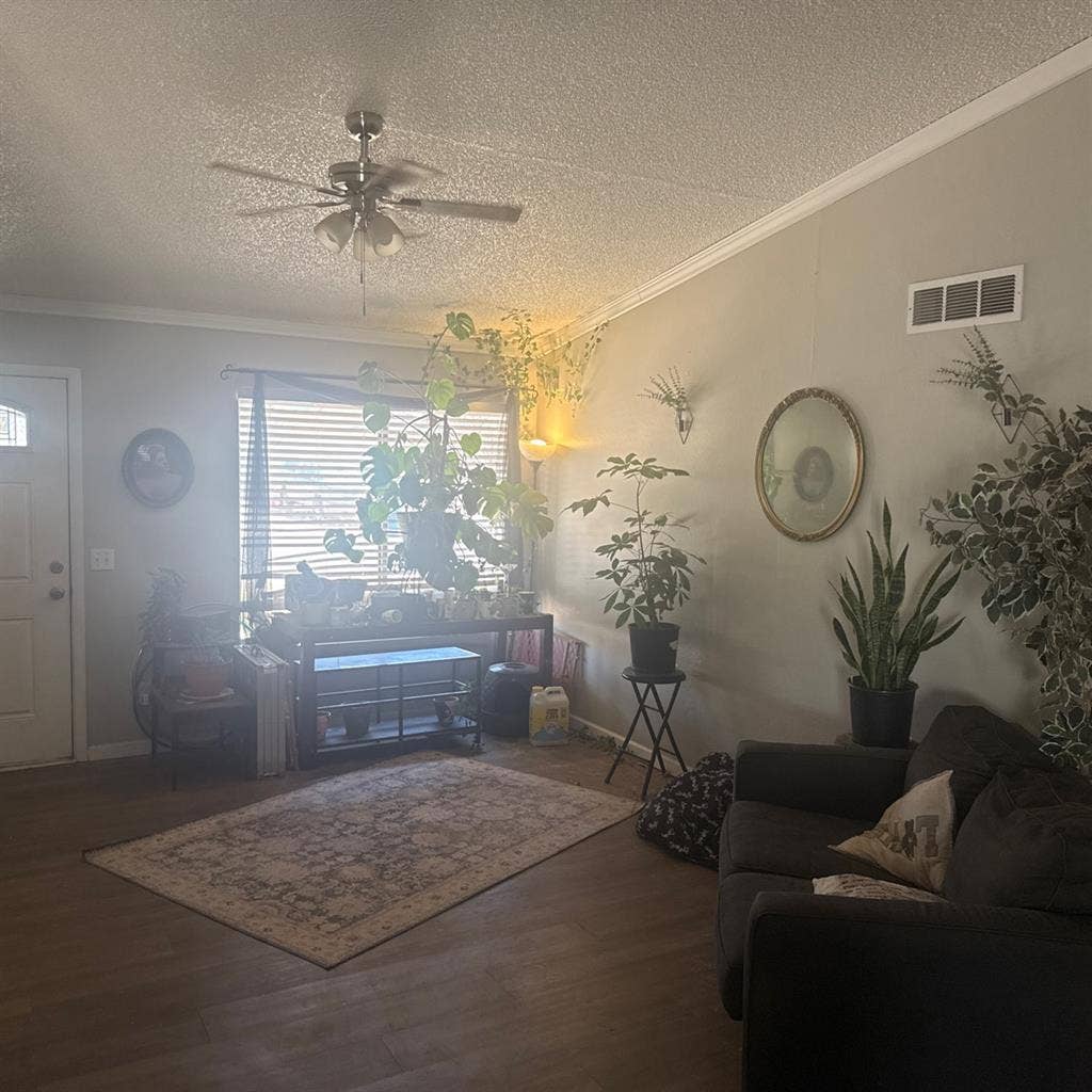 Corner room in a cozy house