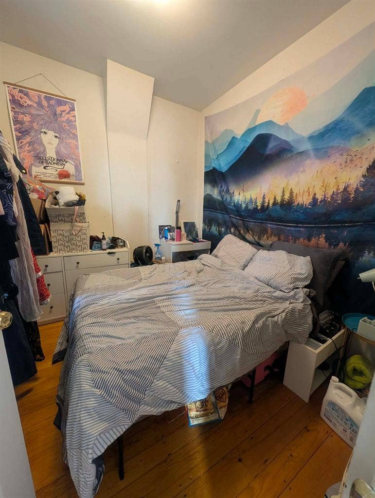 2 rooms available in Jamaica Plain