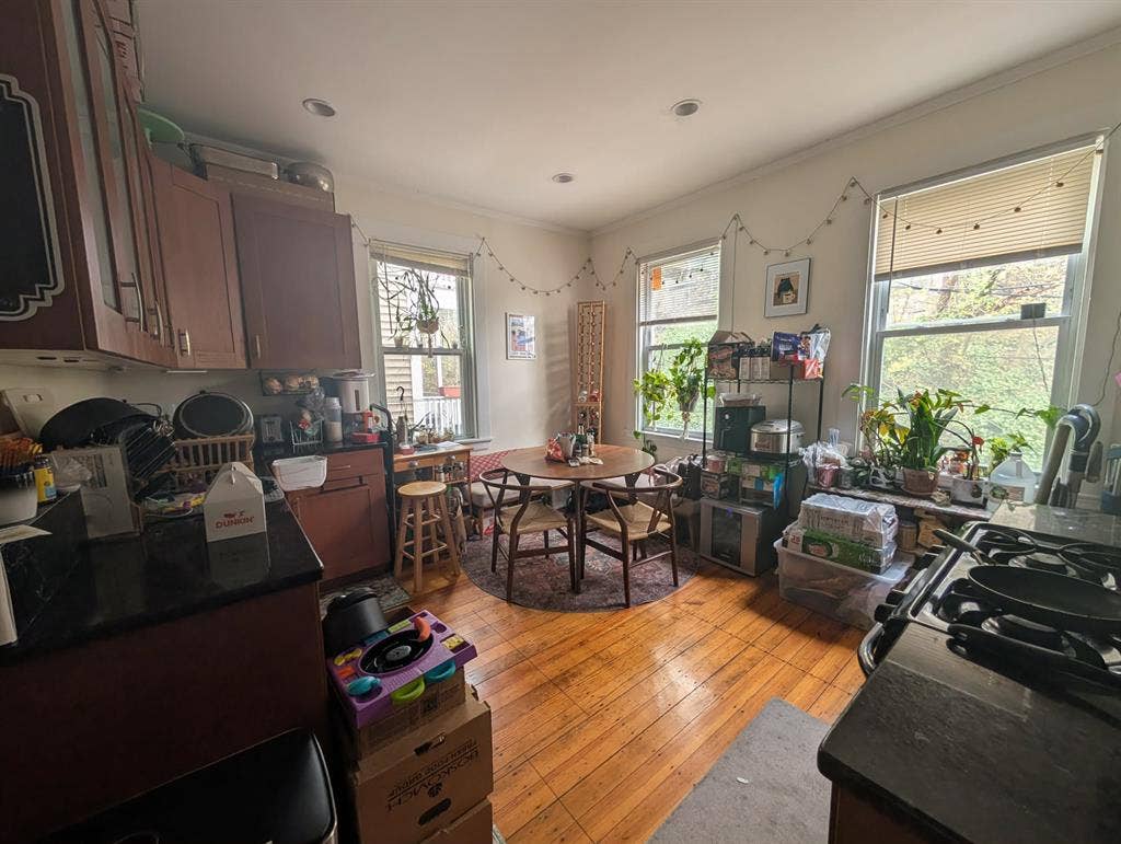 2 rooms available in Jamaica Plain