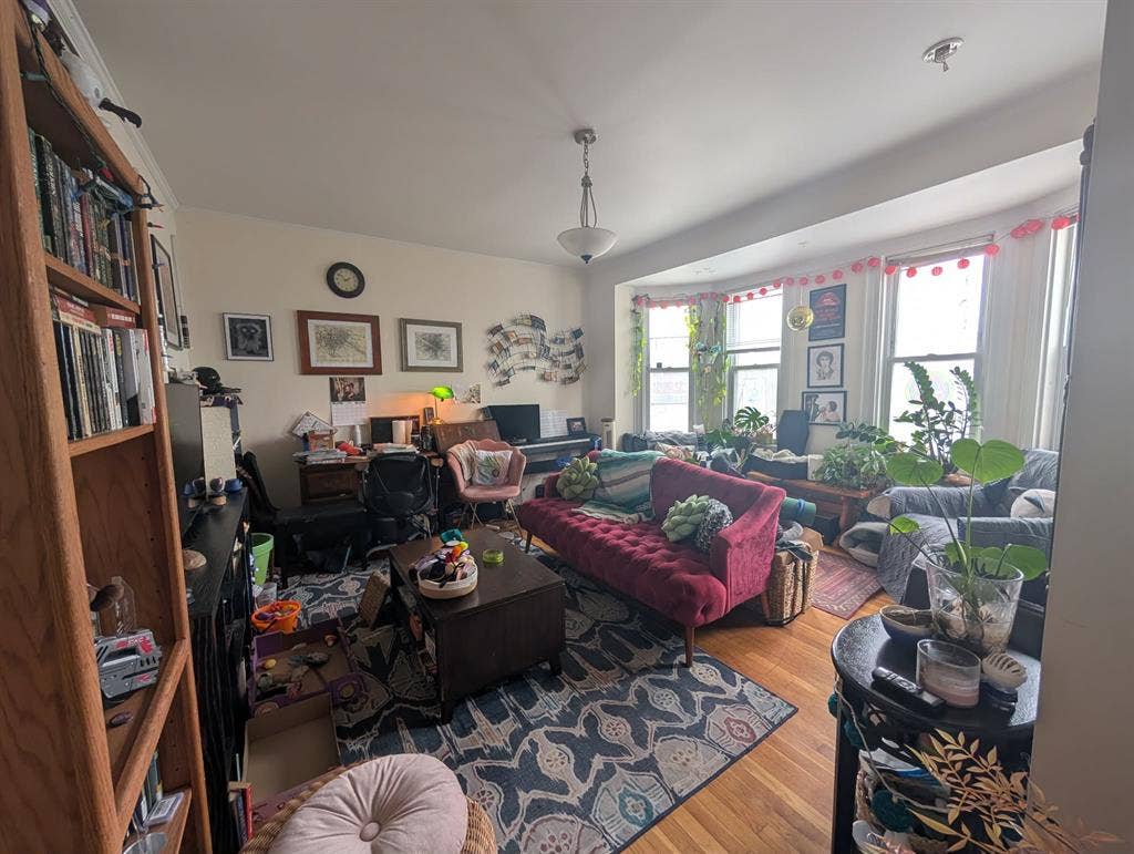 2 rooms available in Jamaica Plain