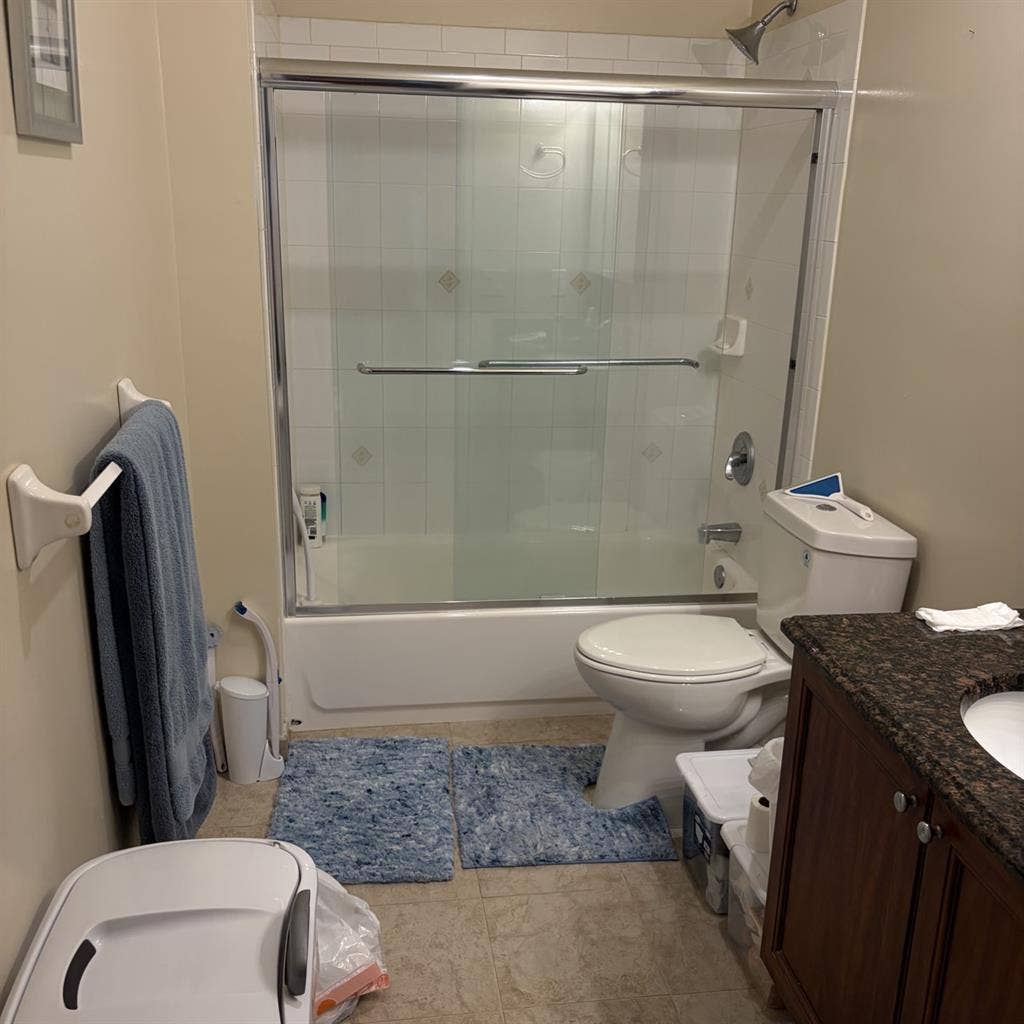 Seeking professional roommate.