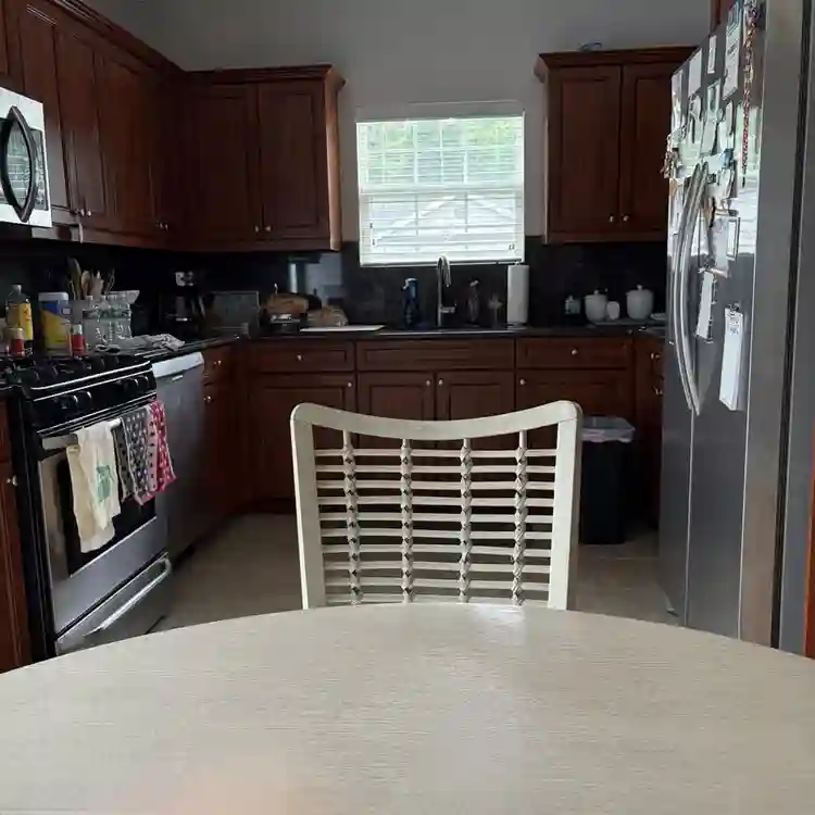 Seeking professional roommate.