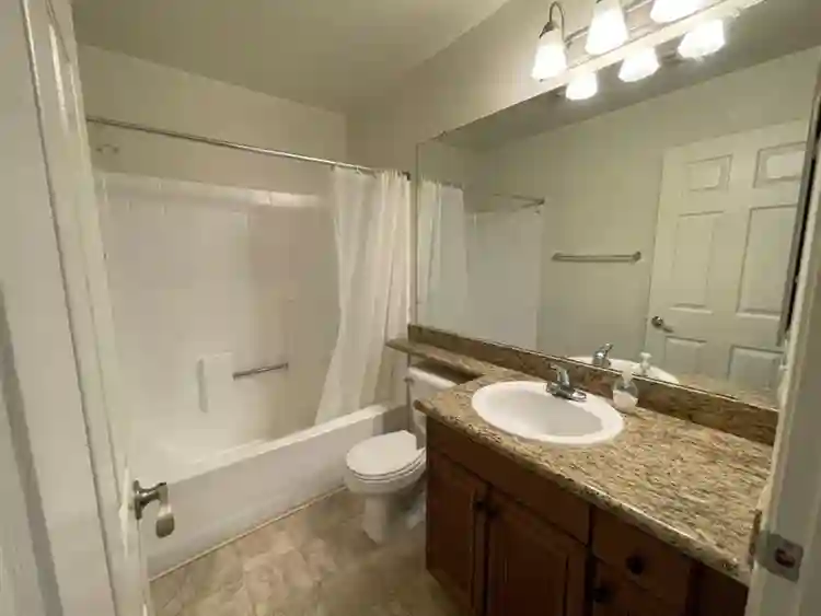 Looking for a roomie