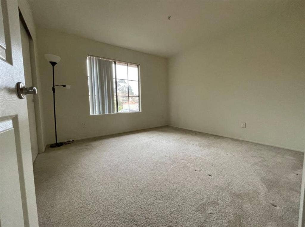 Looking for a roomie
