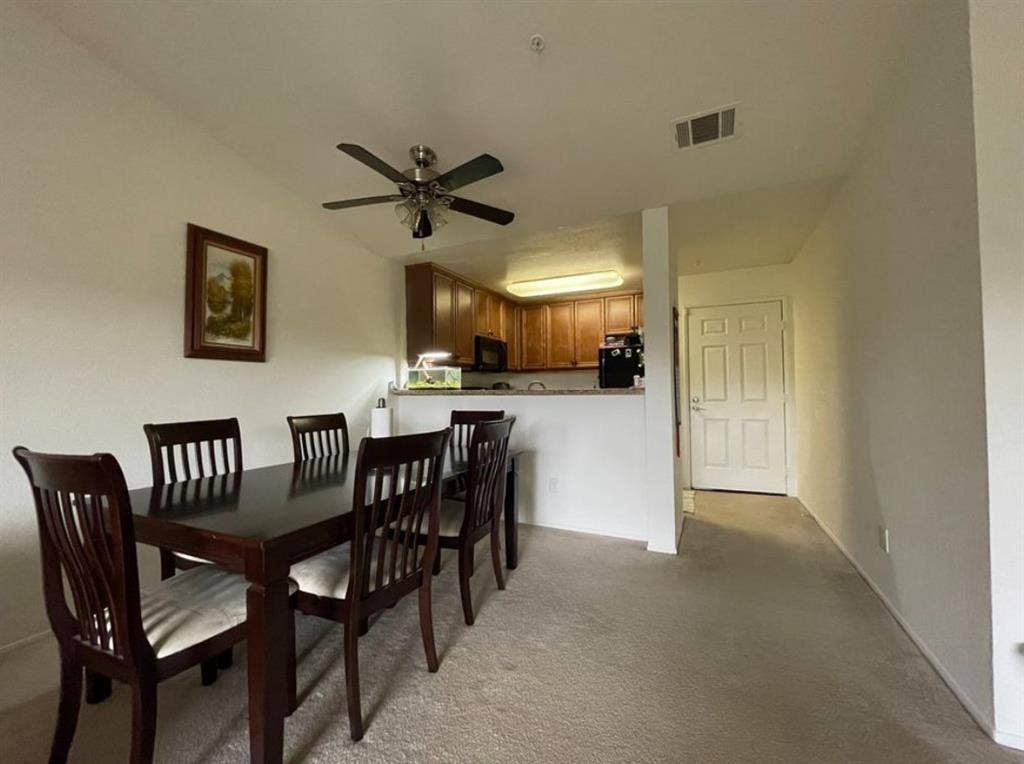 Looking for a roomie