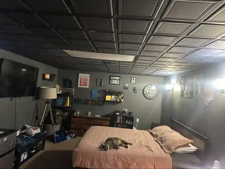 Looking for a Roommate IMMEDIATELY