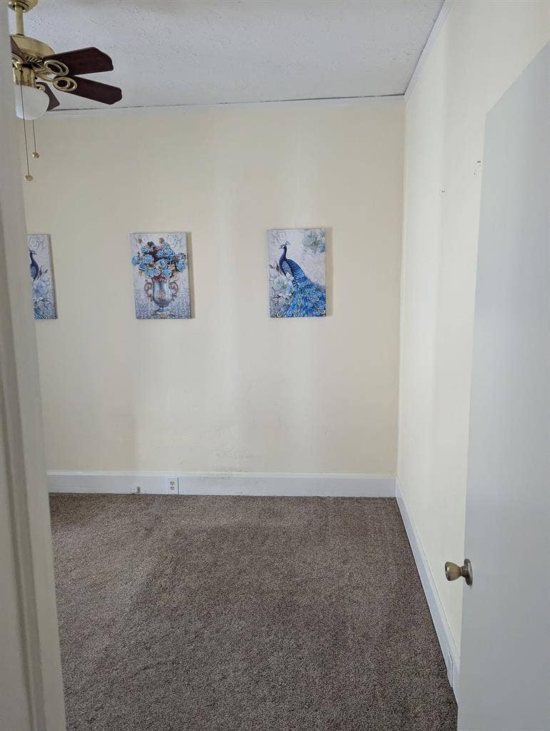 House in Seminole Heights