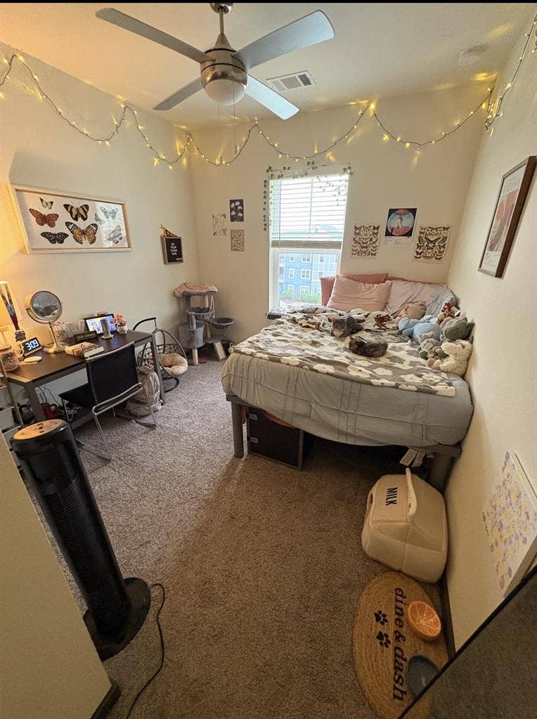 Altitude Apartment 1r00m lease open