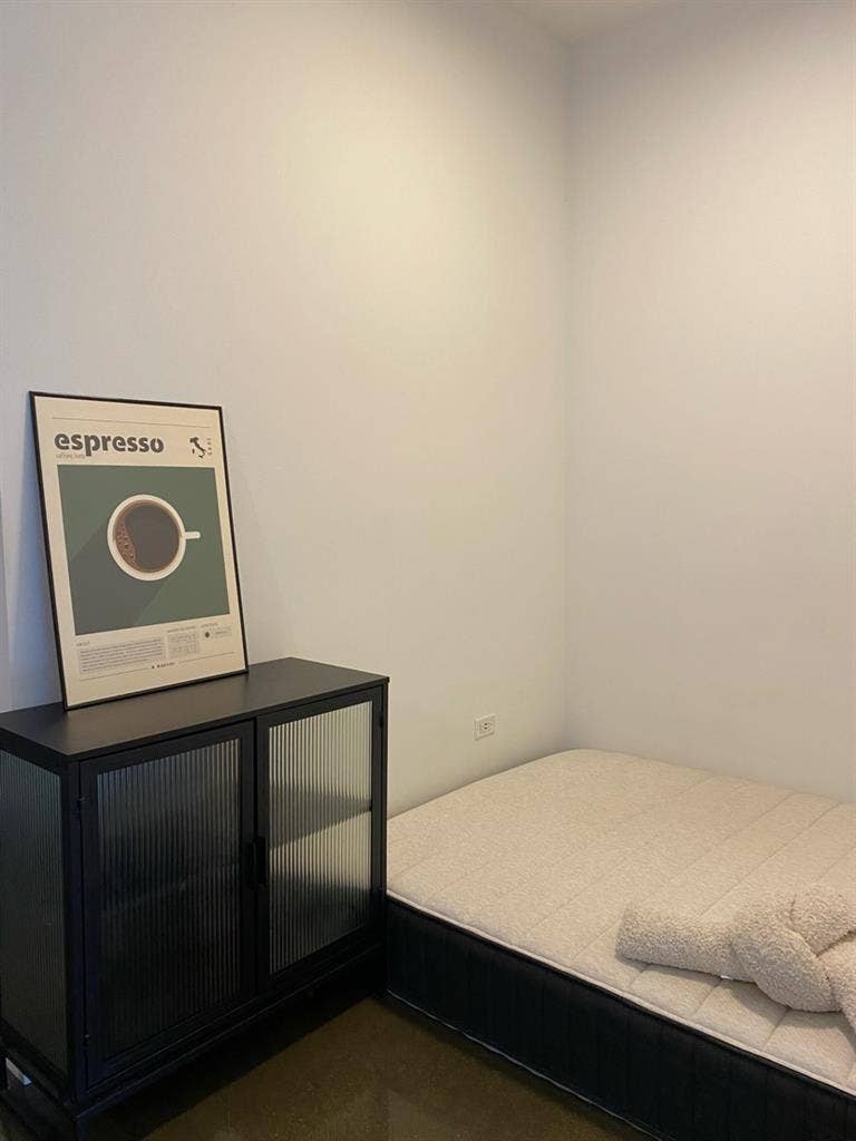 South Loop/Pilsen Luxury Space