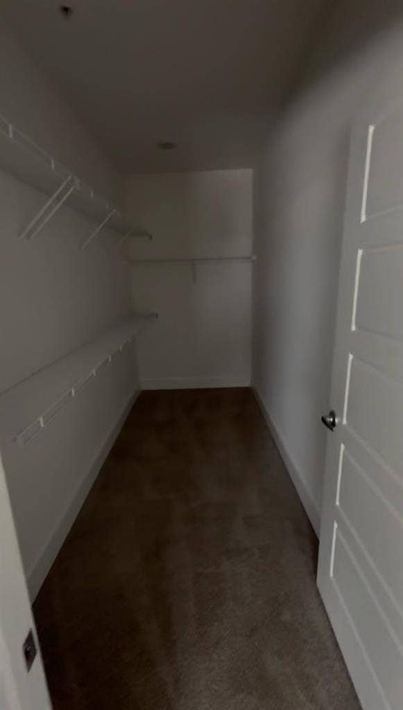 Master Available in 2 bed Apartment