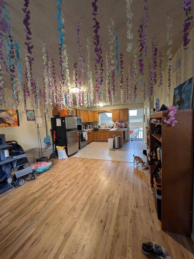 LGBTQ+ friendly housing!