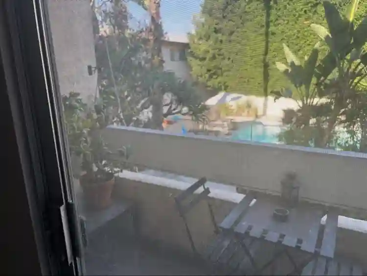 Looking For Roommate
