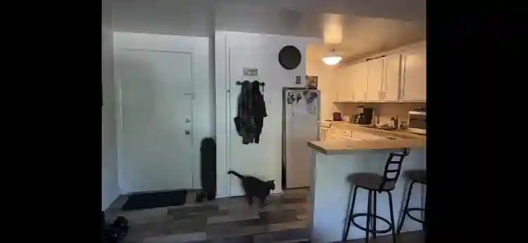 Looking For Roommate