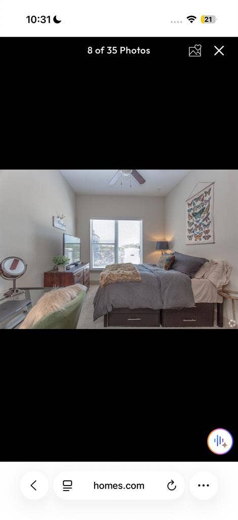 Need a roommate