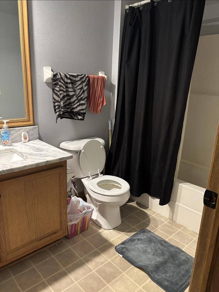 Roomie Wanted