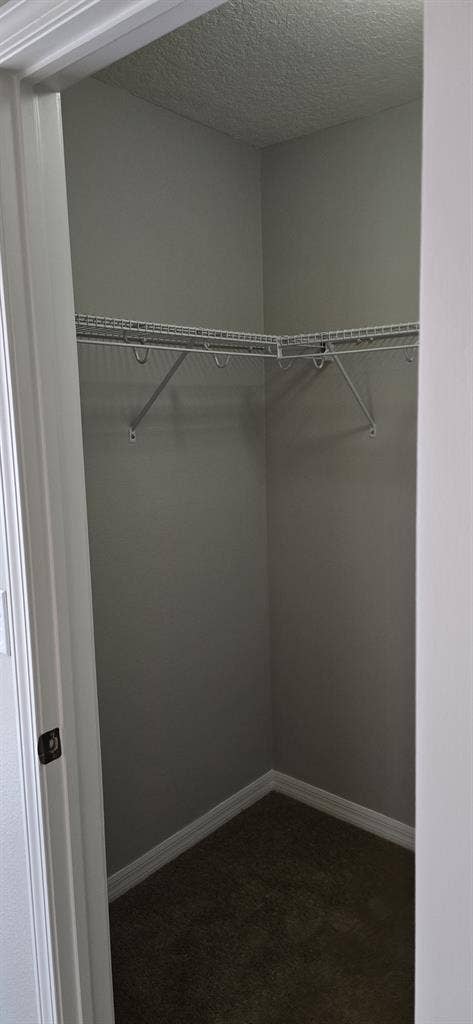 Clean and responsible roommate