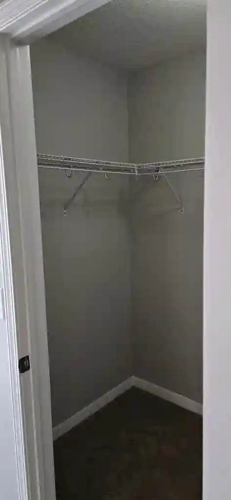 Clean and responsible roommate