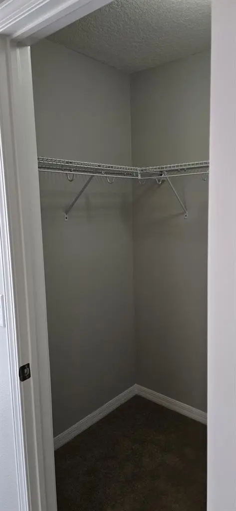 Clean and responsible roommate