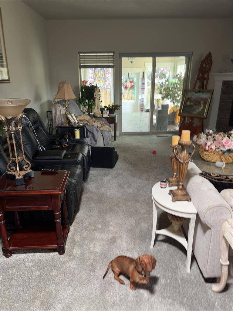 Fully furnished bedroom with TV