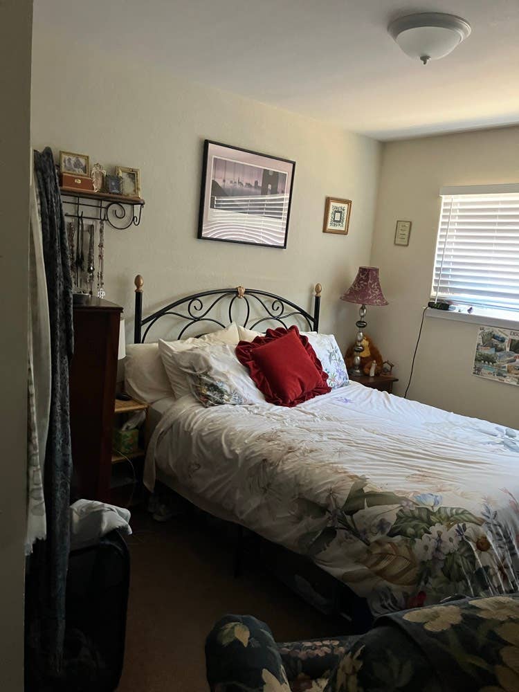 Lovely 4 BR House in Petaluma
