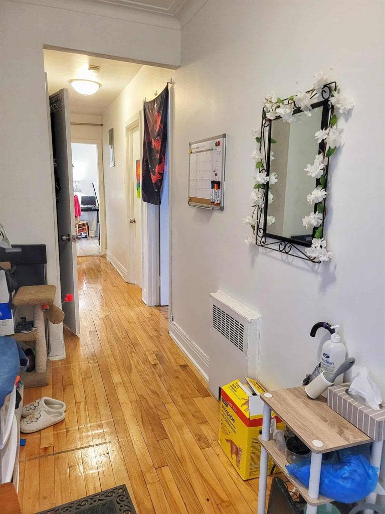Roommate wanted Sept 2 in NDG