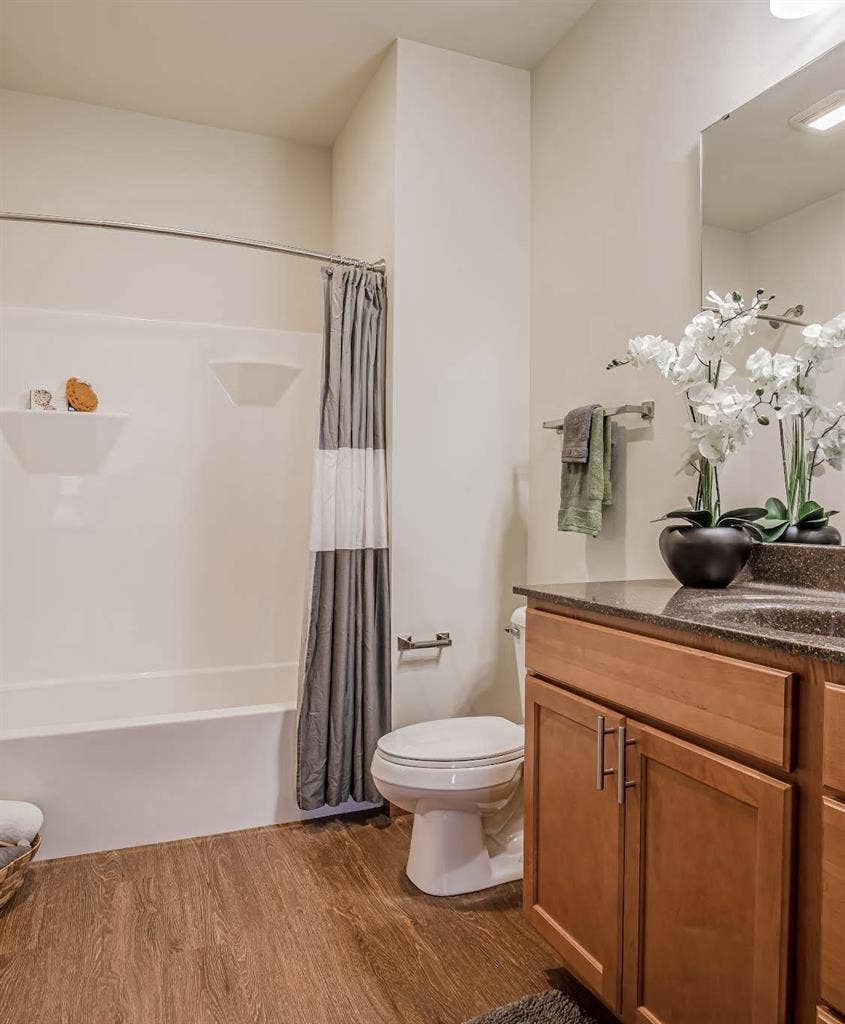 1 bed 1 bath Apartment