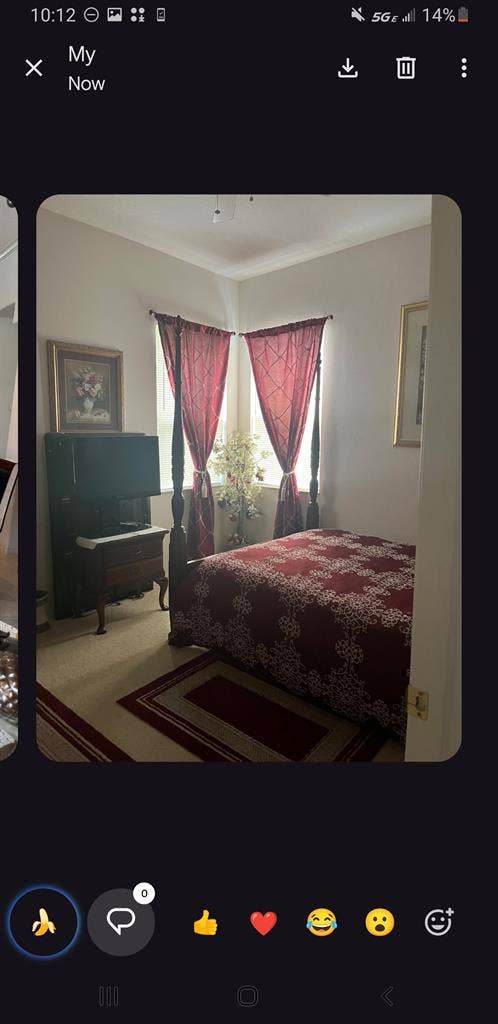 Roomate wanted for Spring Hill home