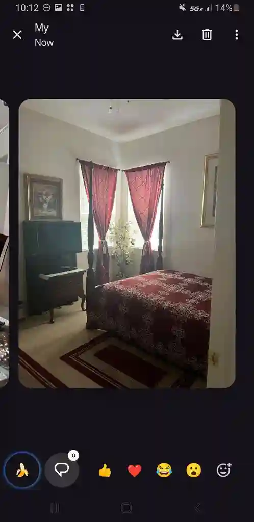 Roomate wanted for Spring Hill home
